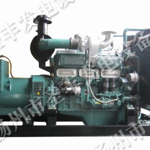 南通股份飛鯨富來威通柴柴油發(fā)電機(jī)組