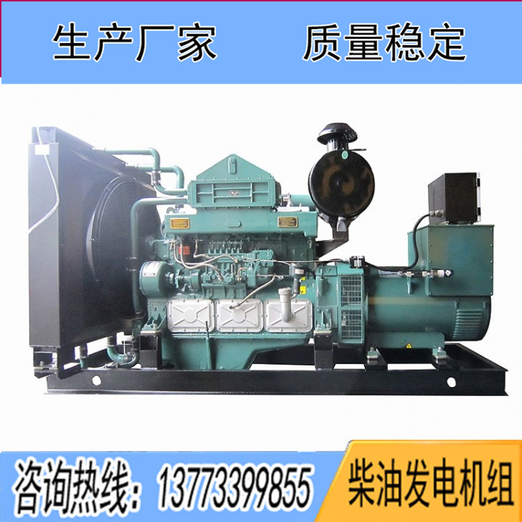 通柴帕歐250千瓦柴油發(fā)電機組