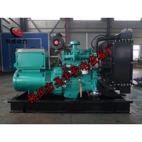 4B3.9-G11康明斯動力配套20KW柴油發(fā)電機(jī)組