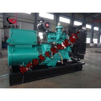 4B3.9-G1康明斯動力配套20KW柴油發(fā)電機(jī)組