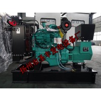 4B3.9-G2康明斯動力配套20KW柴油發(fā)電機(jī)組