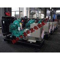 4BTA3.9-G2康明斯動力配套50KW柴油發(fā)電機(jī)組